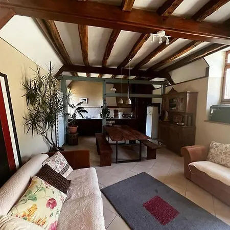 La Nature Des Sens - Les Sources アゼラ